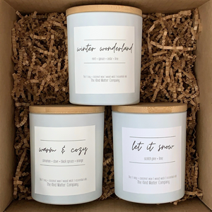 The Good Wax Coconut/Soy Wax Holiday Candle - Warm & Cozy