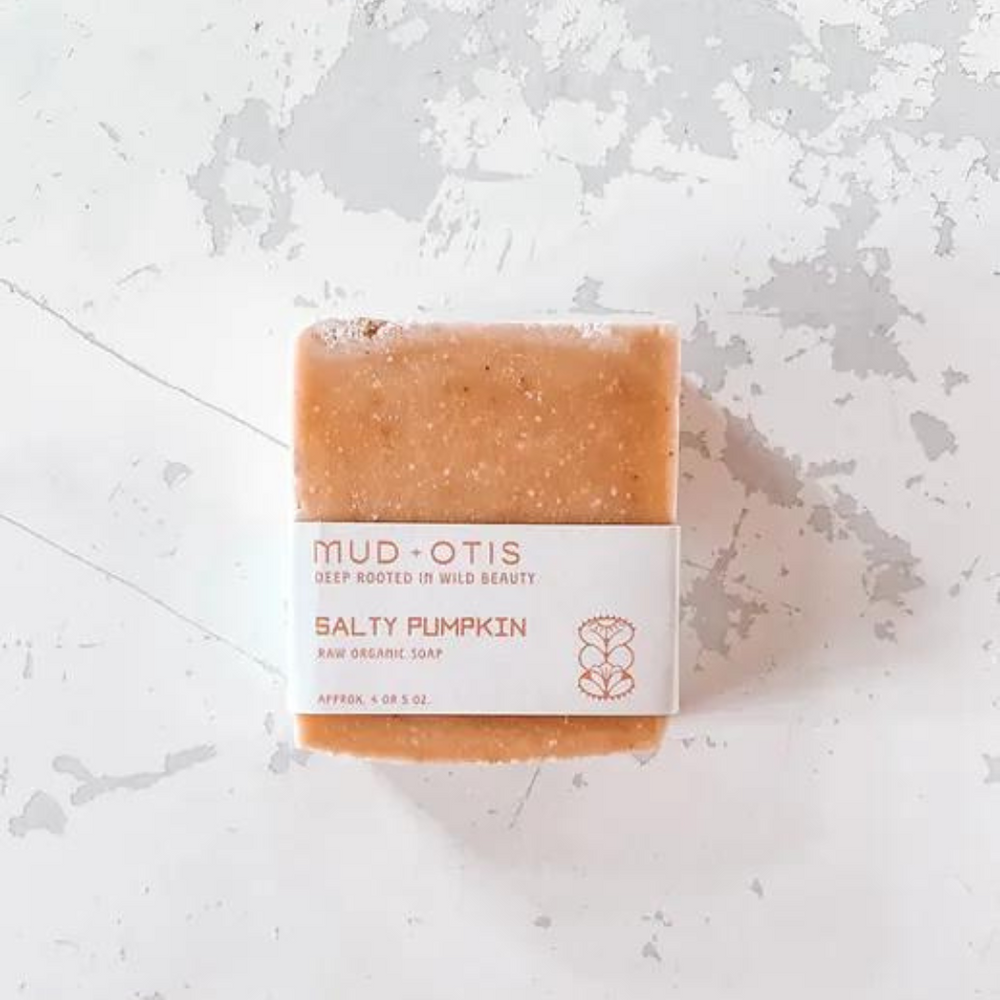 
                
                    Load image into Gallery viewer, Salty Pumpkin Soap Bar
                
            